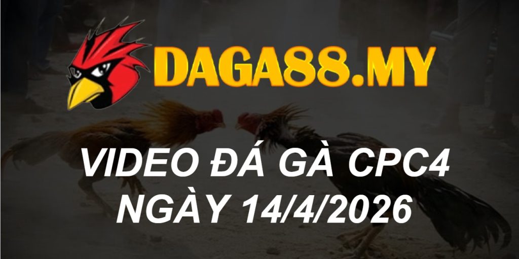 VIDEO GÀ CPC4 NGÀY 14/4/2026