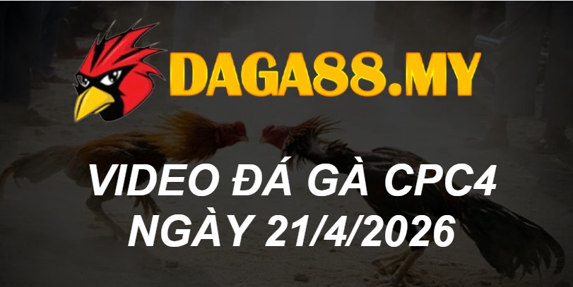 VIDEO GÀ CPC4 NGÀY 21/4/2026