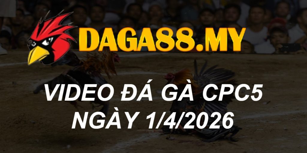 VIDEO GÀ CPC5 NGÀY 1/4/2026