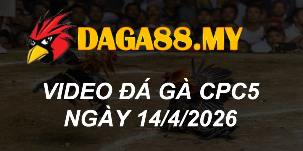 VIDEO GÀ CPC5 NGÀY 14/4/2026