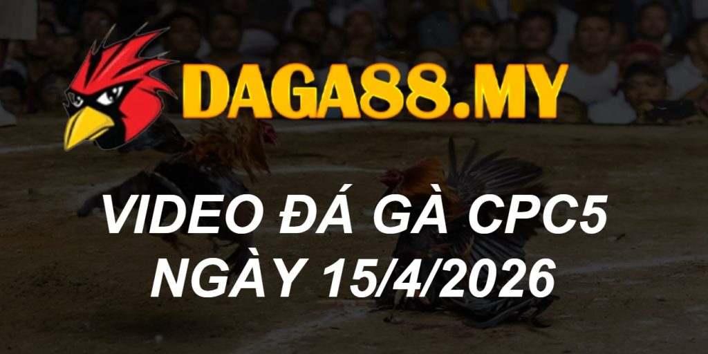 VIDEO GÀ CPC5 NGÀY 15/4/2026