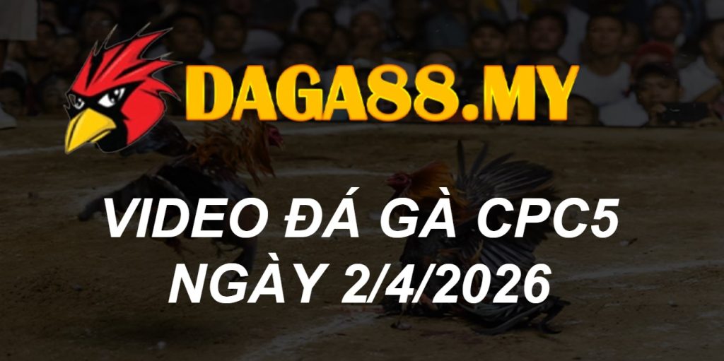 VIDEO GÀ CPC5 NGÀY 2/4/2026