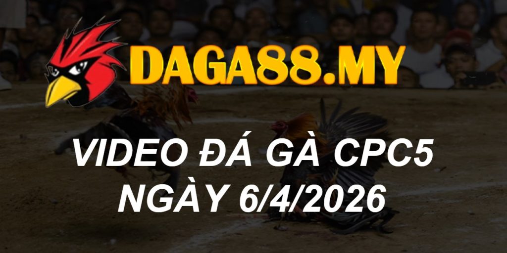 VIDEO GÀ CPC5 NGÀY 6/4/2026