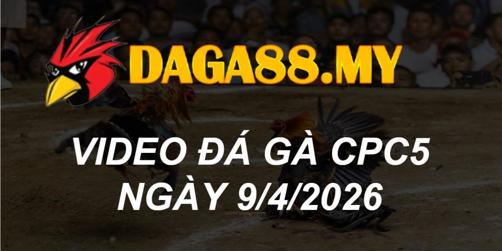 VIDEO GÀ CPC5 NGÀY 9/4/2026