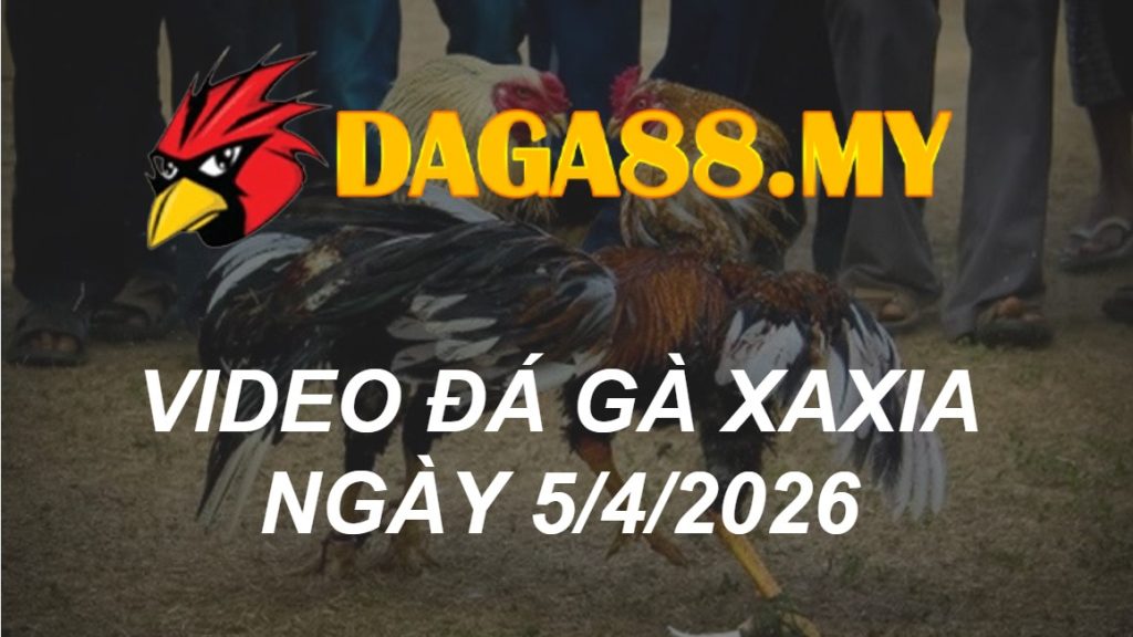 VIDEO GÀ XAXIA NGÀY 5/4/2026