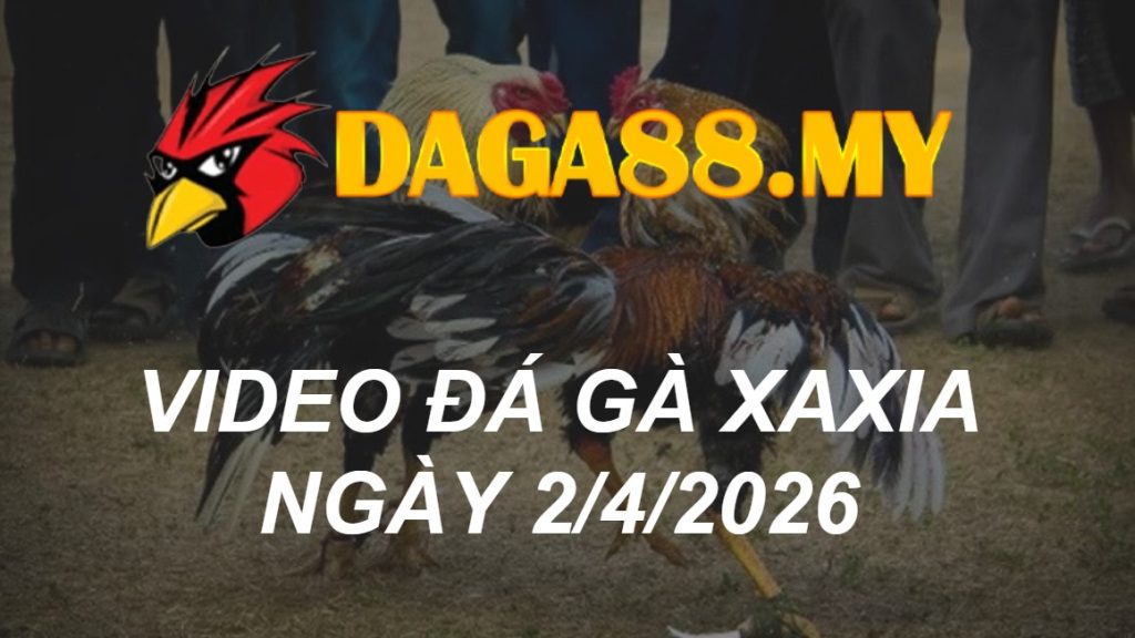 VIDEO GÀ XAXIA NGÀY 2/4/2026